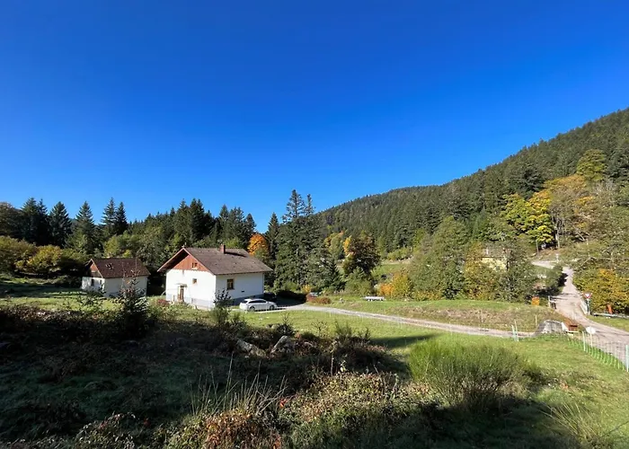 House Type - Sauna&balneo - 14 Pers Hébergement de vacances *