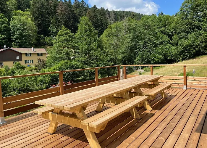 Vakantiehuis House Type - Sauna And Balneo - 14 Pers Gérardmer